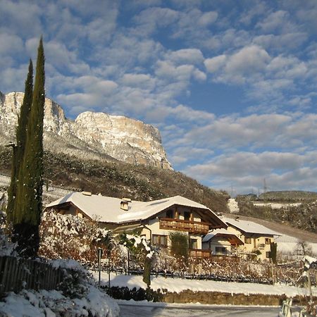 Gfillhof Ferienwohnung 3 Appiano Sulla Strada Del Vino Exteriér fotografie
