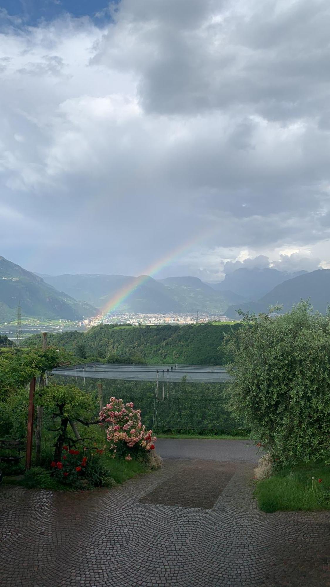 Gfillhof Ferienwohnung 3 Appiano Sulla Strada Del Vino Exteriér fotografie