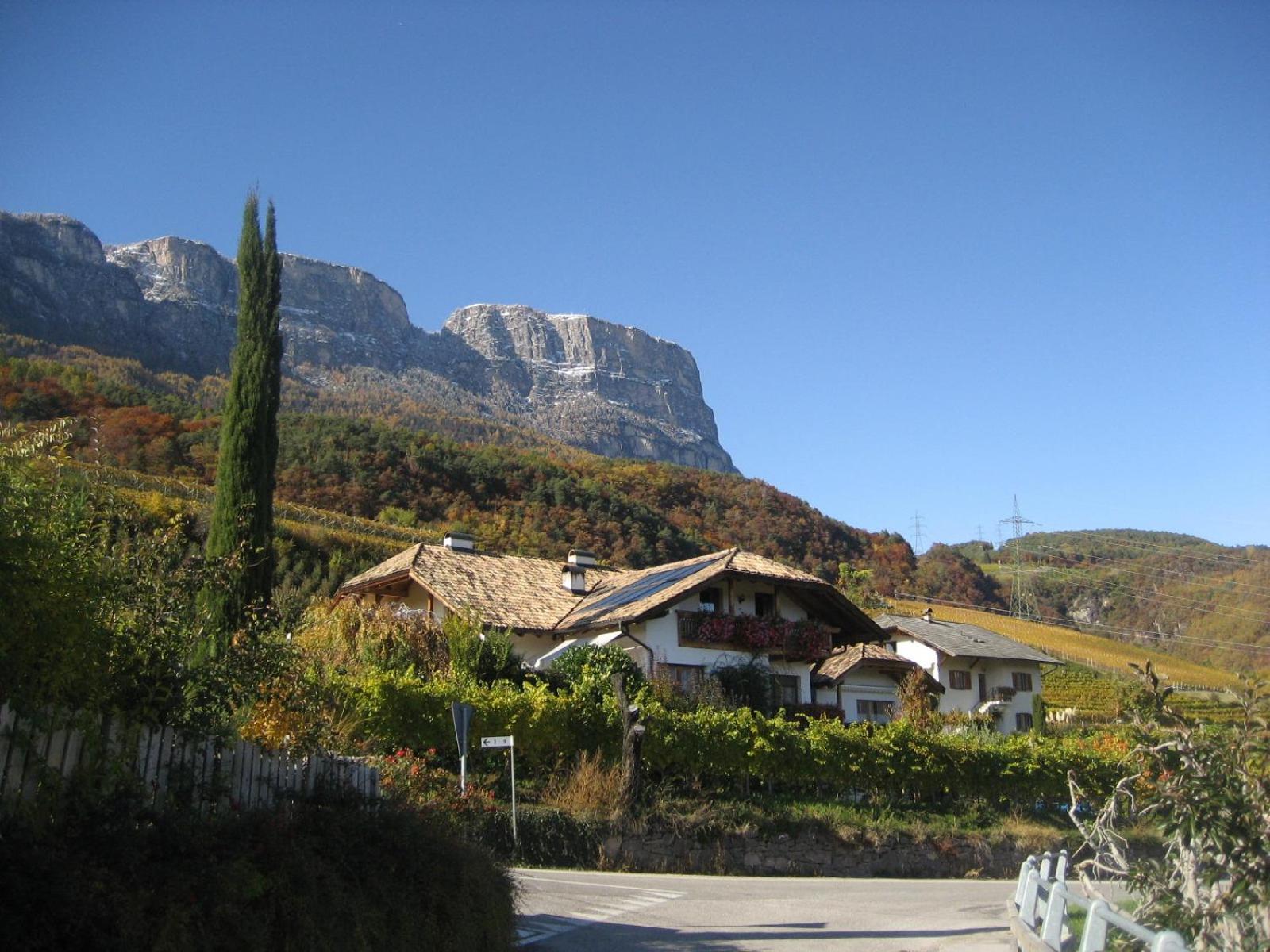 Gfillhof Ferienwohnung 3 Appiano Sulla Strada Del Vino Exteriér fotografie