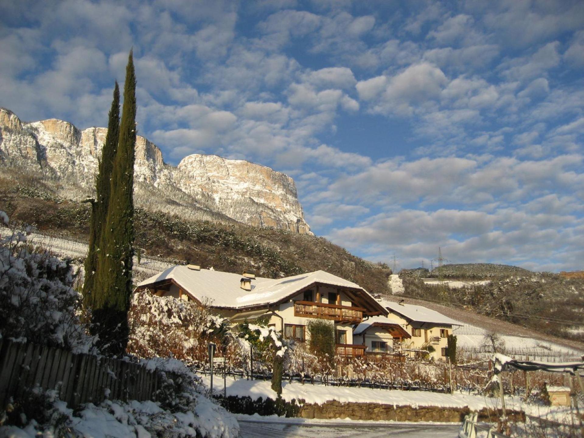Gfillhof Ferienwohnung 3 Appiano Sulla Strada Del Vino Exteriér fotografie