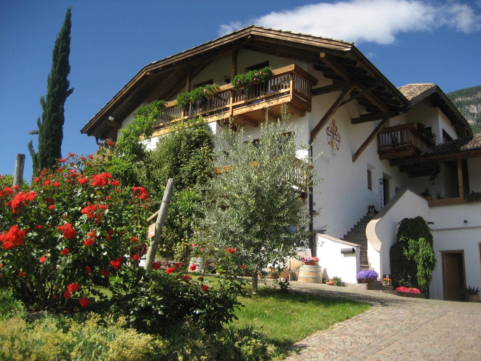 Gfillhof Ferienwohnung 3 Appiano Sulla Strada Del Vino Exteriér fotografie