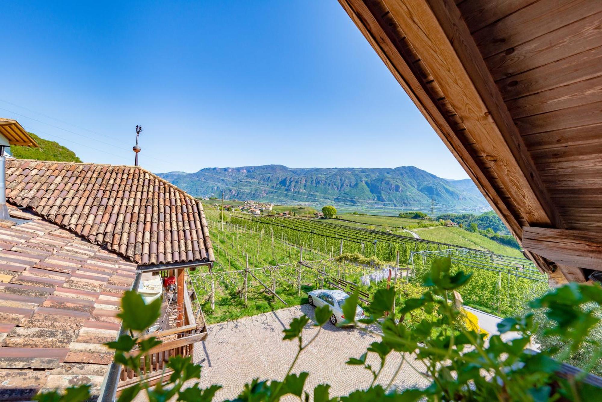 Gfillhof Ferienwohnung 3 Appiano Sulla Strada Del Vino Exteriér fotografie
