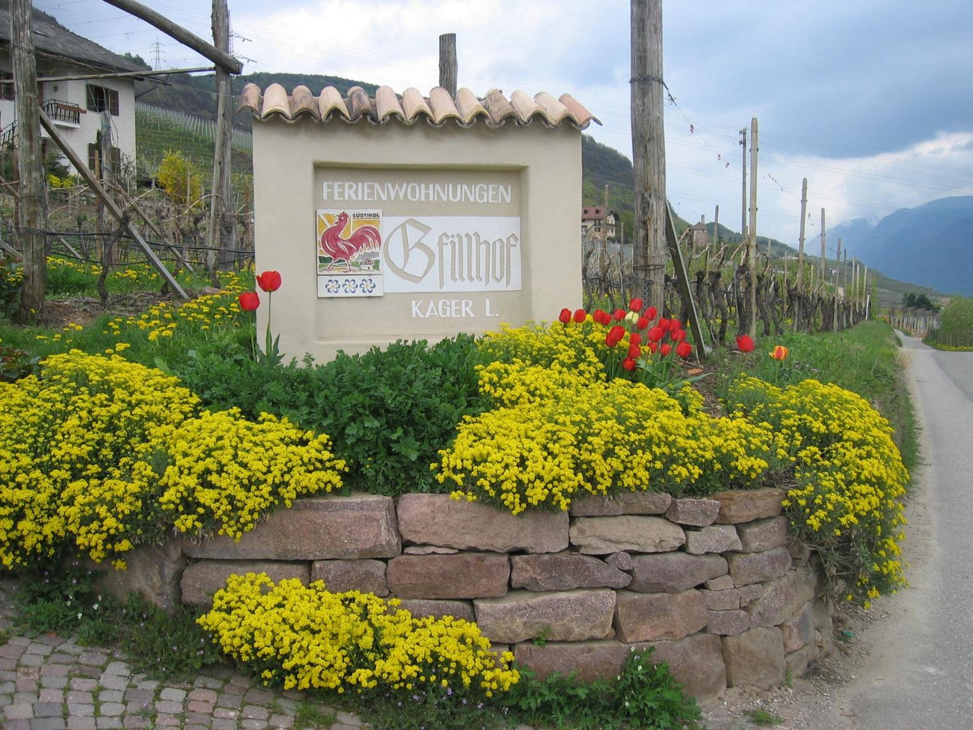 Gfillhof Ferienwohnung 3 Appiano Sulla Strada Del Vino Exteriér fotografie